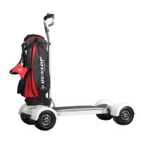 Europe Style Mini Golf Cart  60V Golf Board Sports Golf Scooter with Smart Digital Display