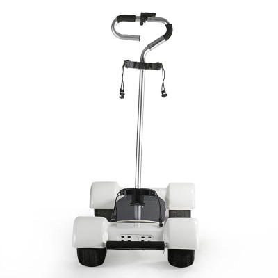 Sunnytimes Adult Electric Scooter 4 Wheel Golf Cart Self Balancing Scooters 2000W 60V Golf Scooter Board