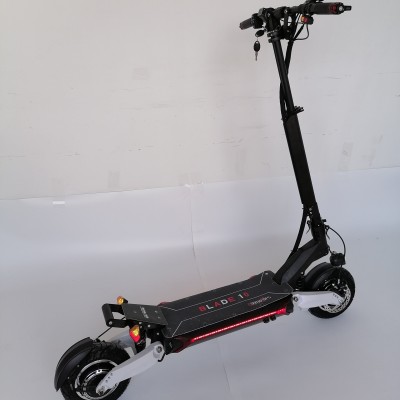 BLADE 10D EVO 1200WX2 BLDC fast speed dual scooter electric kick scooter with NUTT brake