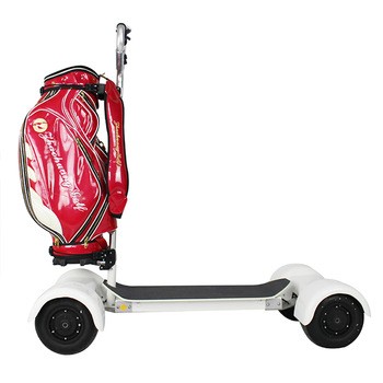 1600w 10 Inch Sharing Four Wheels Min Electric Golf Skate Board Golfboard for Sale